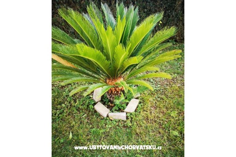 Apartments House Valentin – photo 33