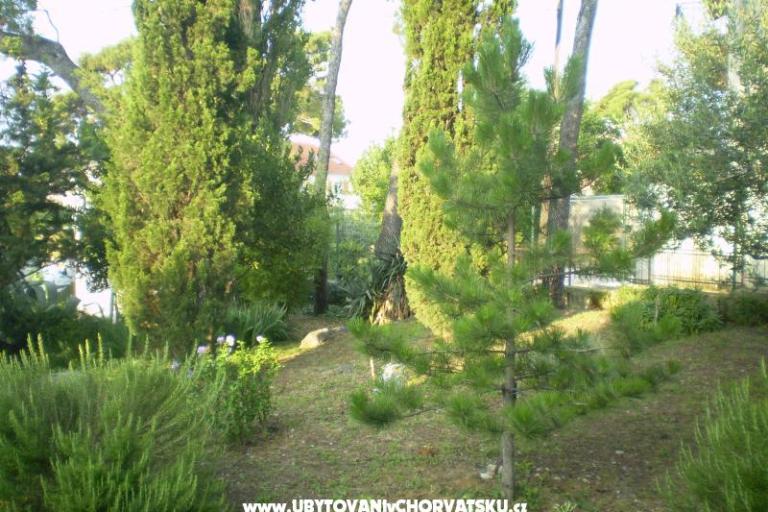 Apartments Grgin – photo 11