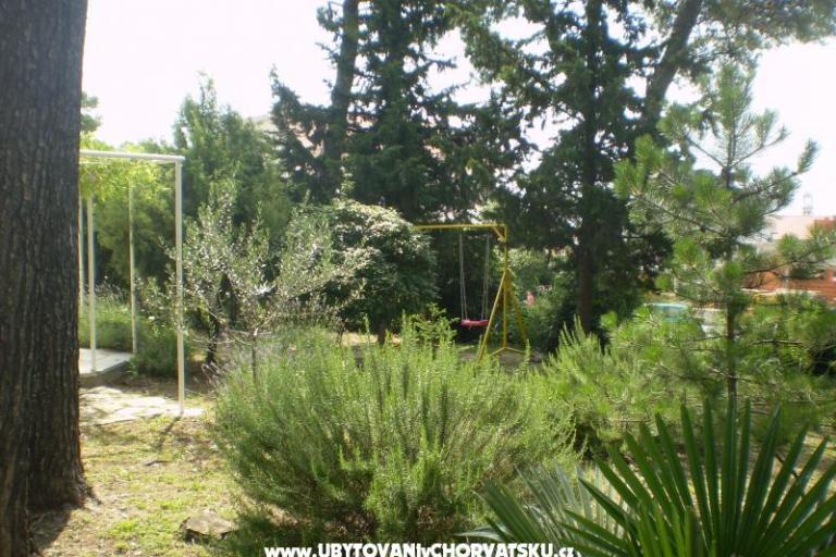Apartments Grgin – photo 3