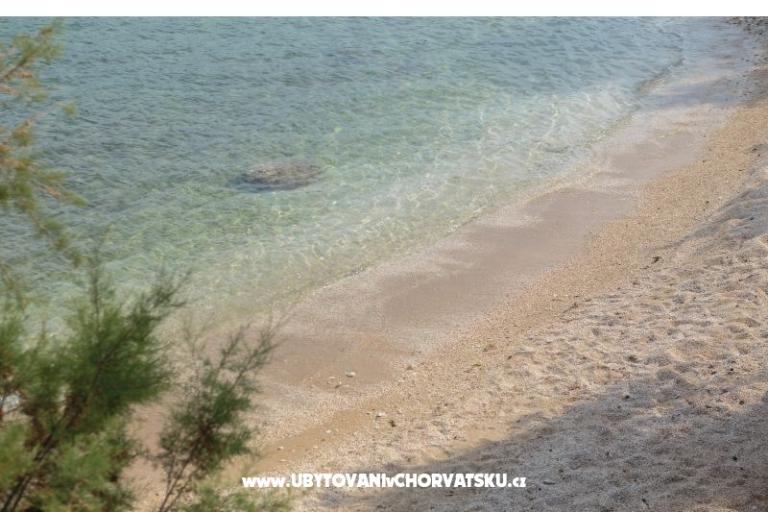 House on the beach – photo 14