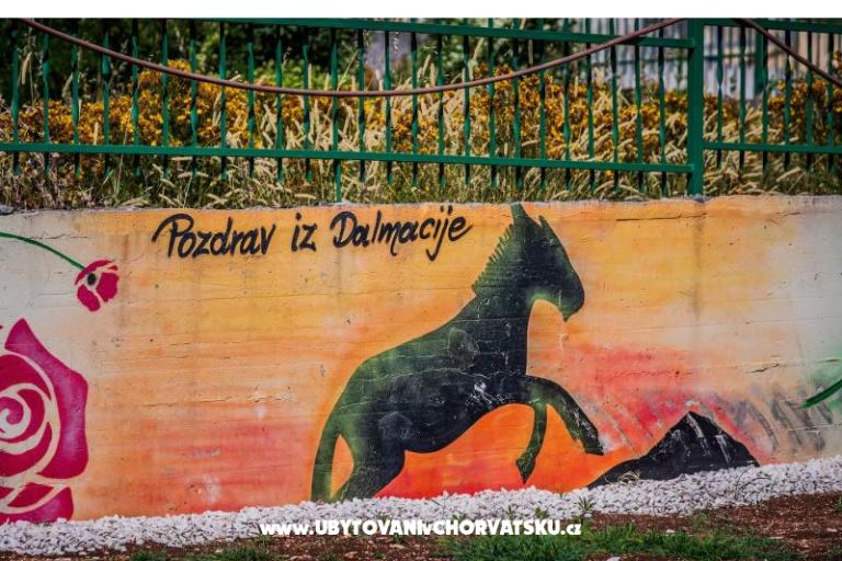 Luxury villa Cvita – photo 16