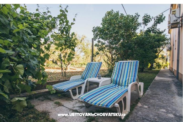 Villa Vitali – photo 8