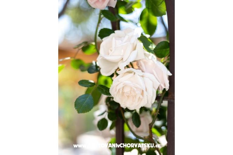 Villa Antea  – photo 18