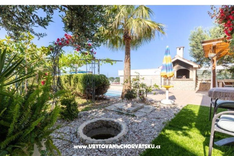 Villa Antea  – photo 6