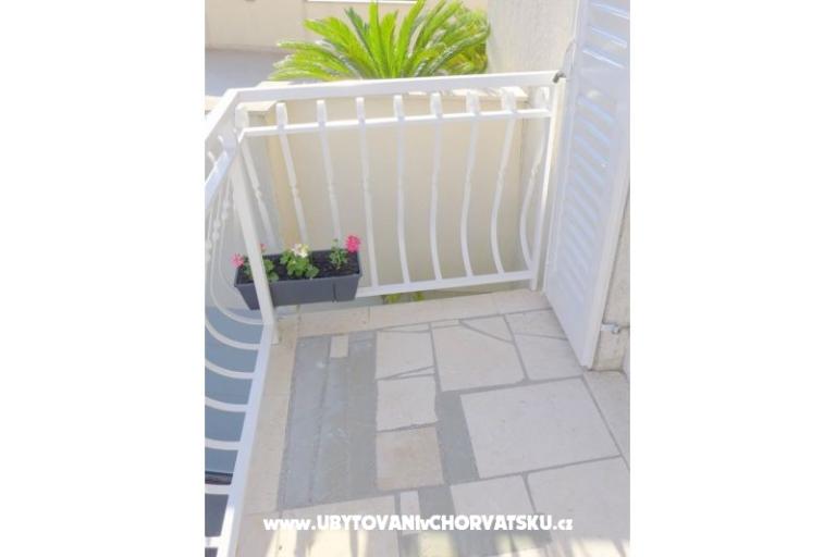 Zvijezda mora – photo 10