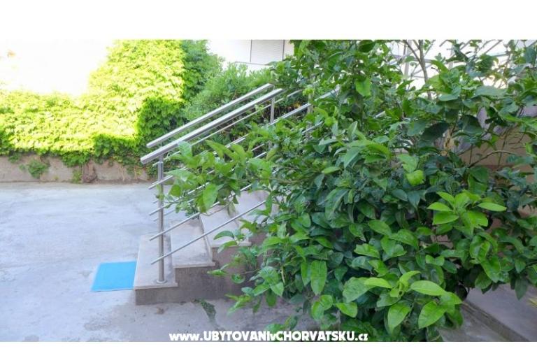 Zvijezda mora – photo 15