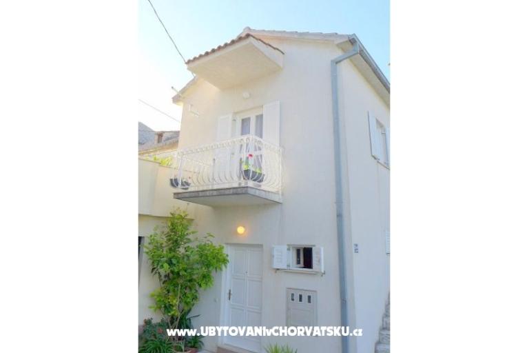 Zvijezda mora – photo 16