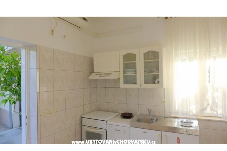 Zvijezda mora – photo 3