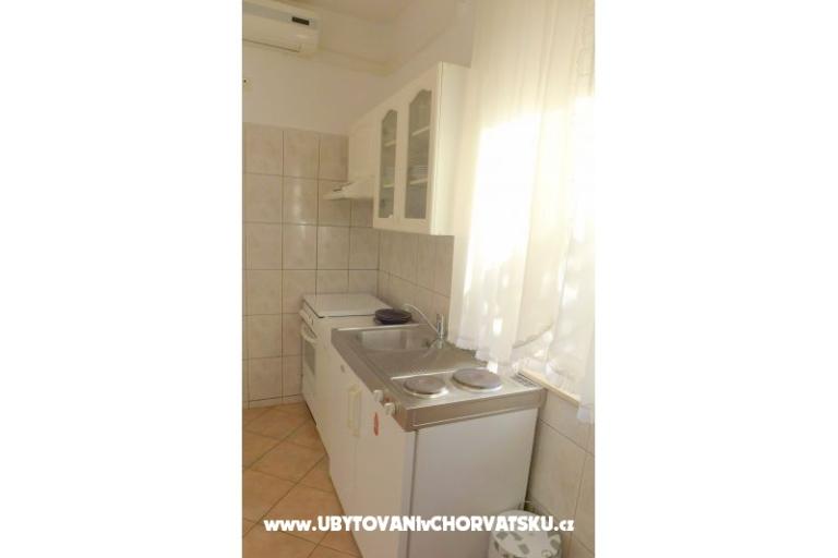 Zvijezda mora – photo 4