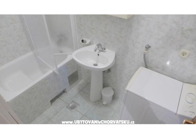 Zvijezda mora – photo 7