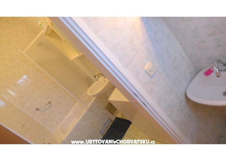 Zvijezda mora – photo 8