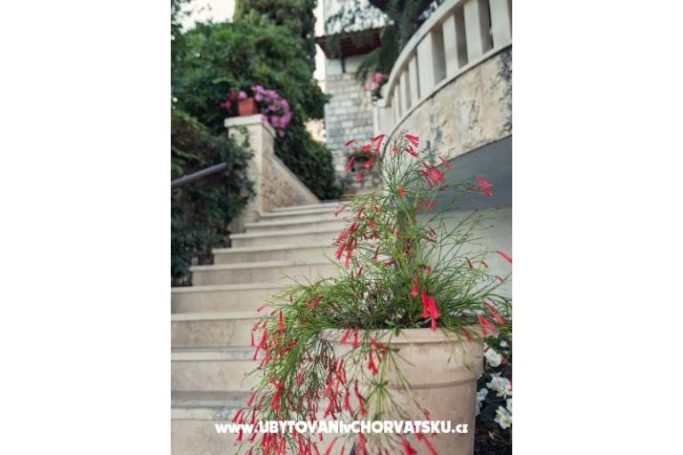 Apartments i Rooms Villa Barbara – photo 11