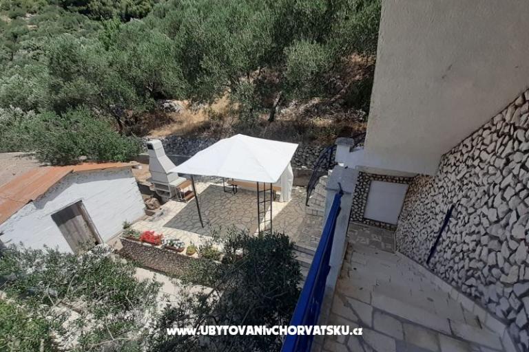 Apartments Luna – photo 3