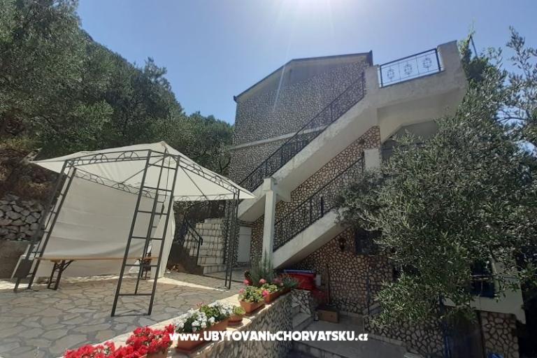 Apartments Luna – photo 6