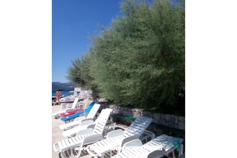 Pension Kozina – photo 16