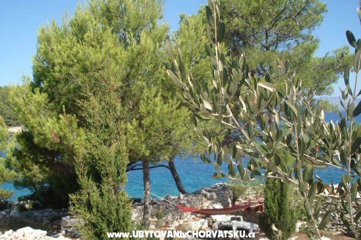 Apartment Kaurloto – photo 8
