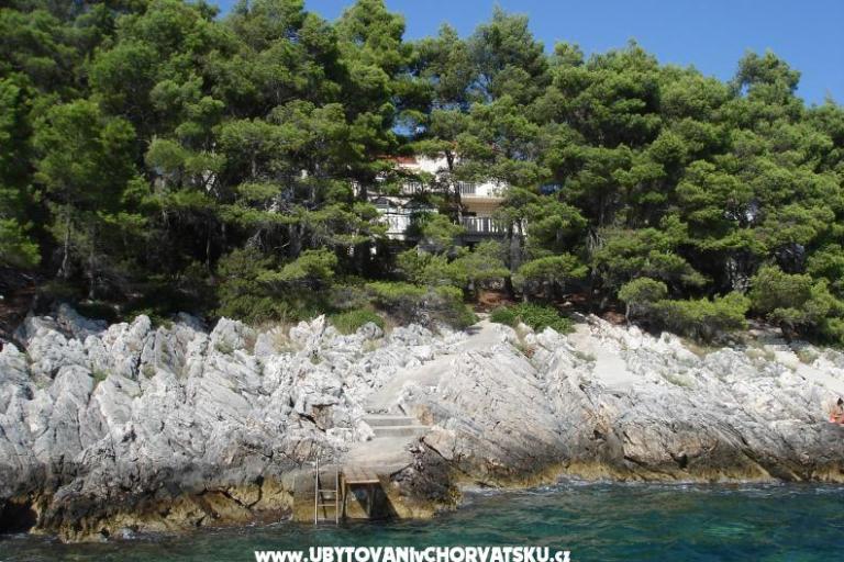Apartments Tomasic – photo 8
