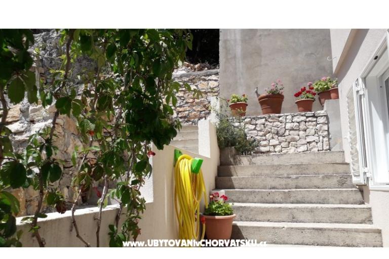 Apartments Cannela Oasis – photo 7