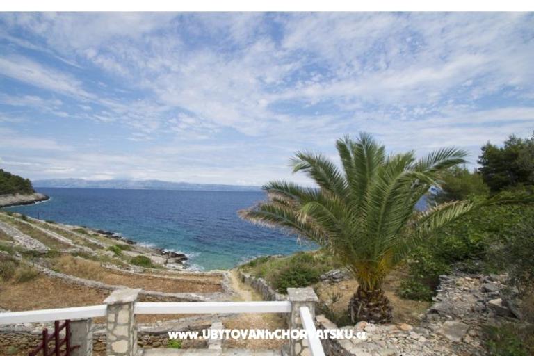 Vacation house Dorjan – photo 4