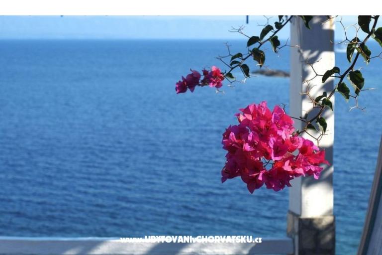 Vacation house Dorjan – photo 6