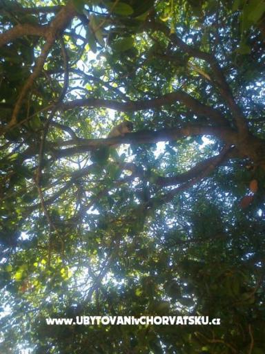 Relax apartman – photo 13