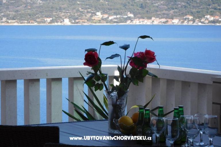 Teo Ivancevic – photo 4