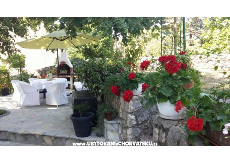 Apartment Sever – photo 11
