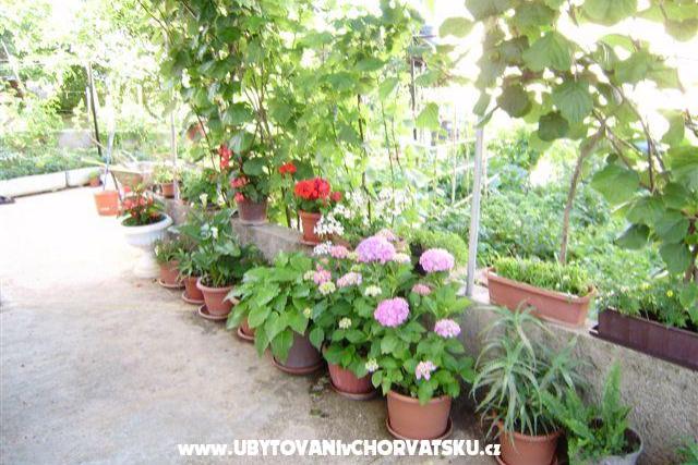 Apartaments Samanic – photo 7
