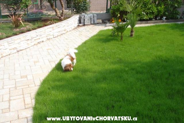 Apartment ETA – photo 5