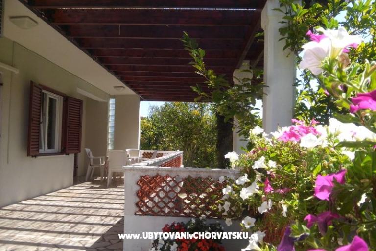Apartments Branko – photo 2