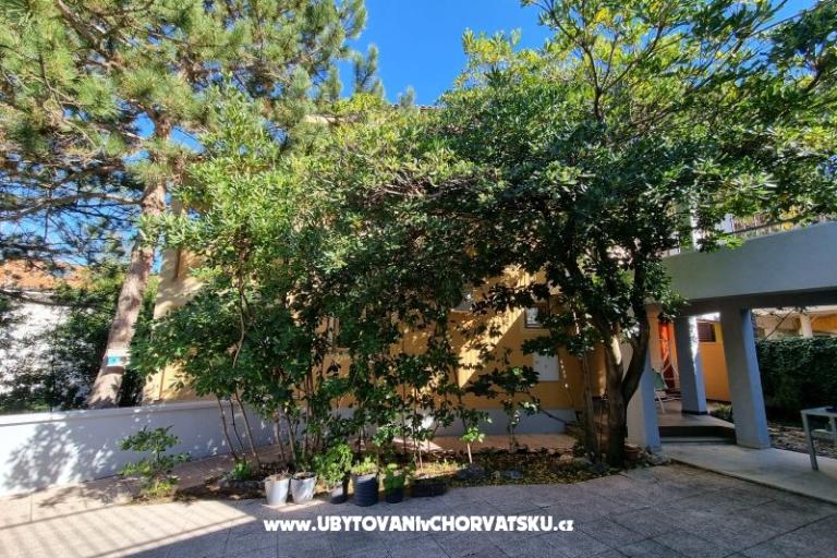 Apartments Casia – photo 6