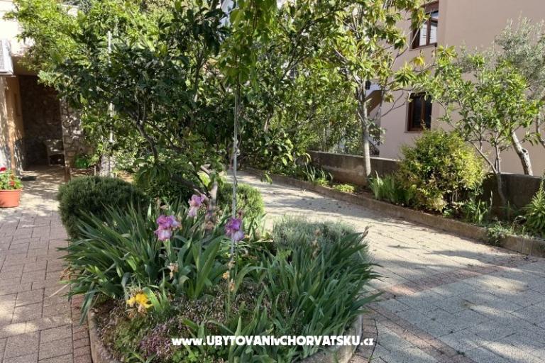 Apartments Fanuko – photo 21