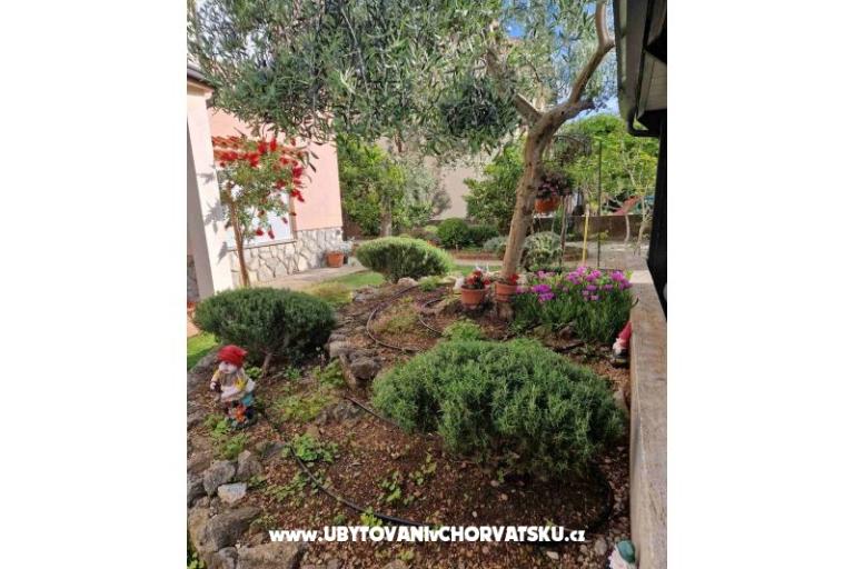 Apartments Fanuko – photo 23