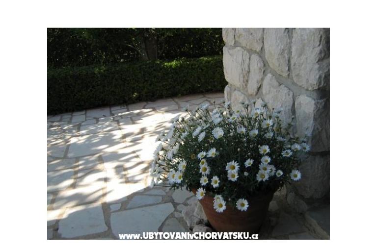 Apartments Iva&amp;Ivan – photo 7
