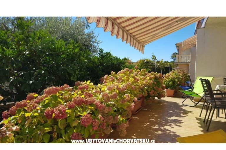 Apartments Krk-Hydrangea – photo 5