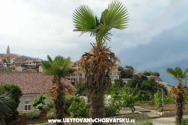 Apartments Maja – photo 6