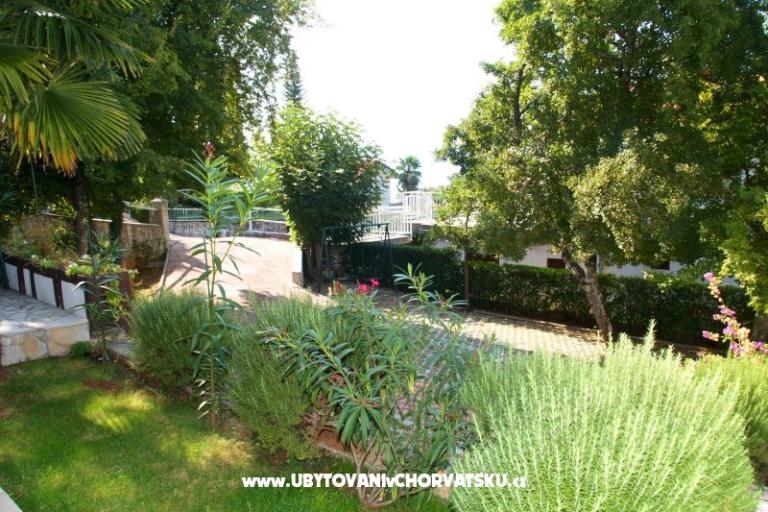 Apartments Matić – photo 7