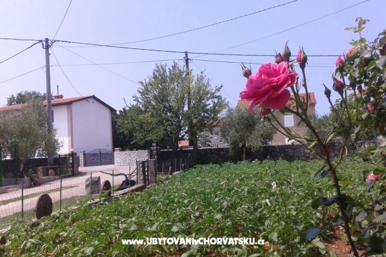 Apartments Marica – photo 2