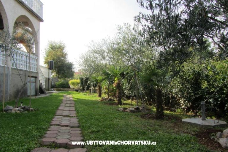 Apartments Perišić – photo 4