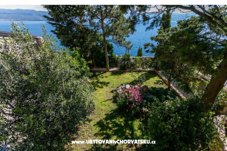 Apartments Plišić – photo 10