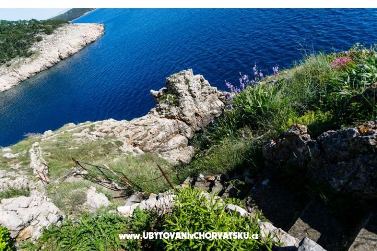 Apartments Plišić – photo 2