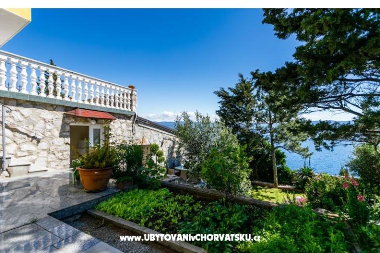 Apartments Plišić – photo 9