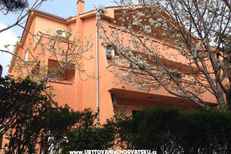 Apartm. Vlahinić Mirjana i Valerija – photo 6