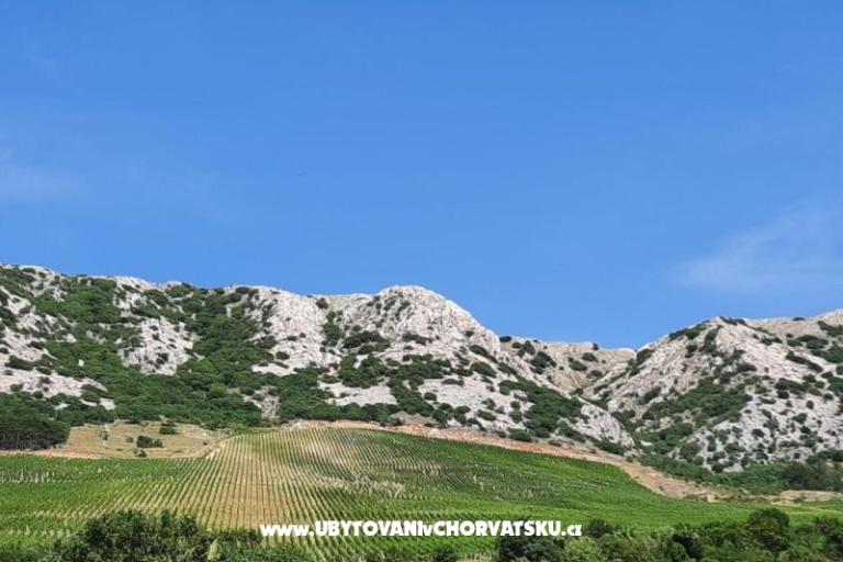 Rocky – photo 2