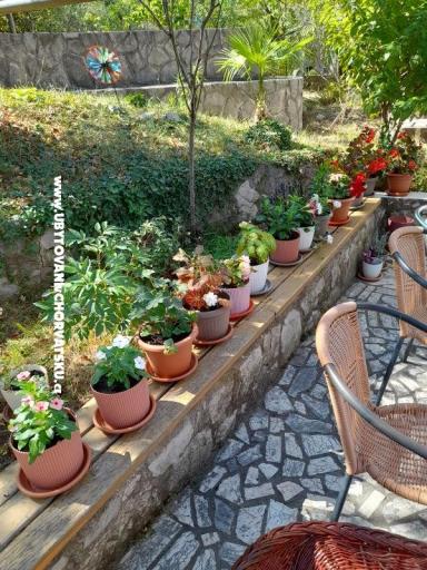 Apartments Zana – photo 43