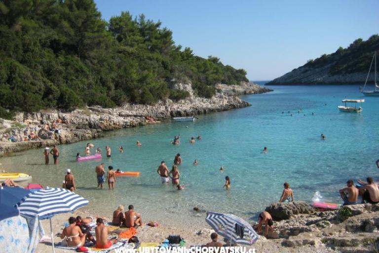 Villa Bijela – photo 7