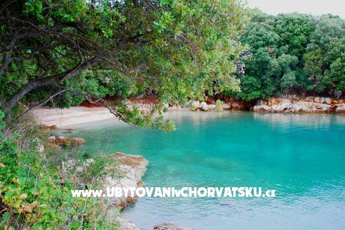Apartment Mihael + free boat trip – photo 13