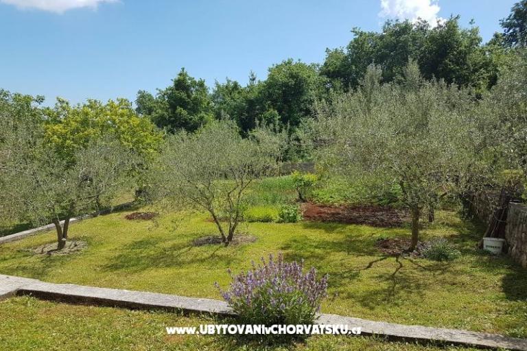 Apartments Mariela – photo 4