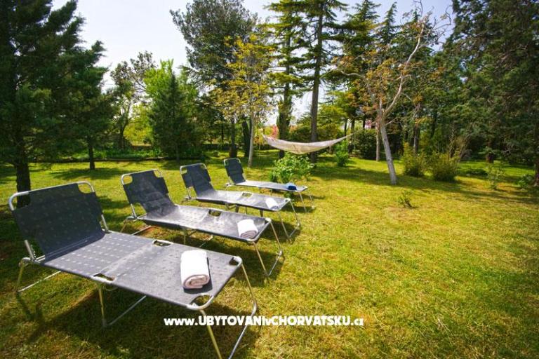 Villa Aurora – photo 2