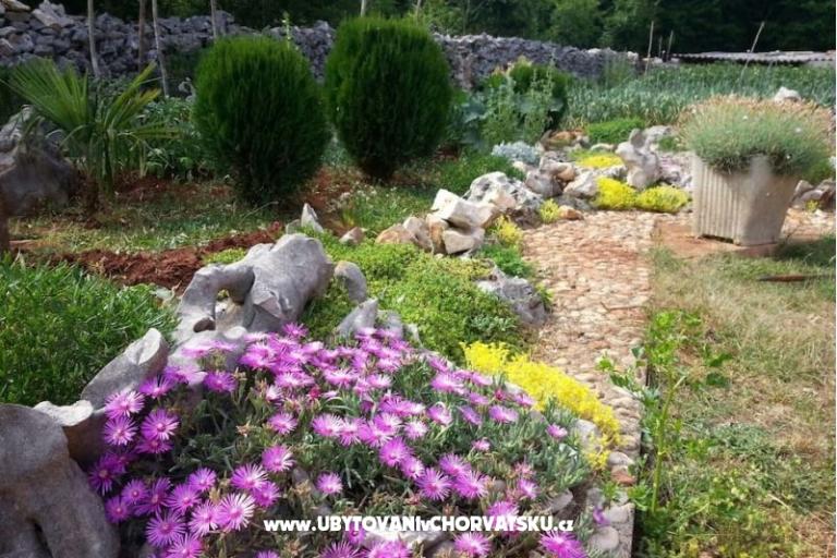 Villa Fortuna – photo 13